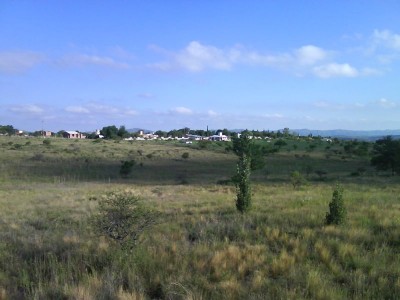 Lote