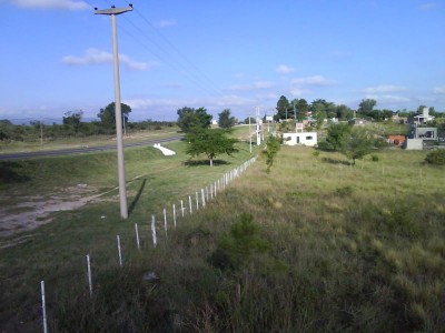 Lote