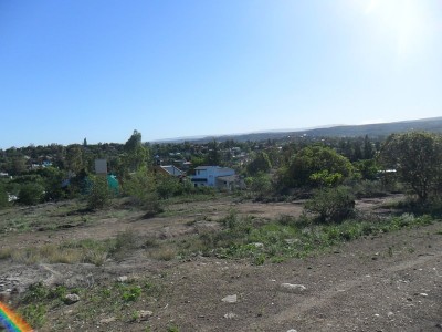 Lote