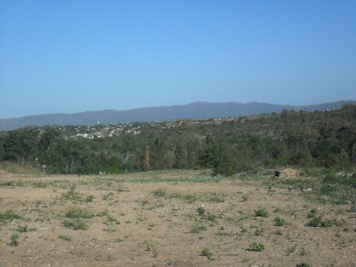 Lote