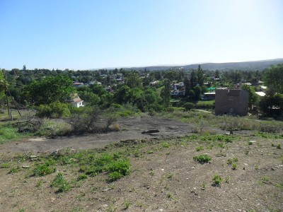 Lote