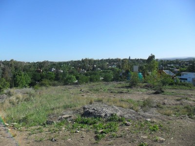 Lote