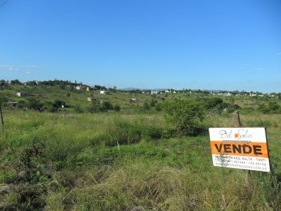 Lote