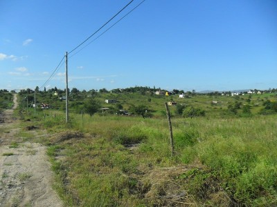 Lote