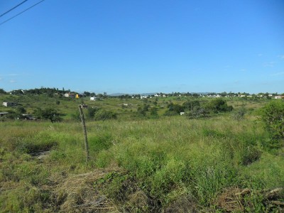 Lote