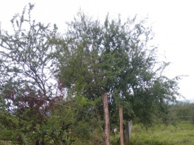 ESPECTACULAR TERRENO EN TANTI