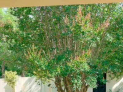 CASA EN VENTA EN TANTI